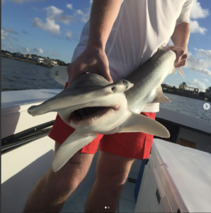Shark Fishing St Augustine FL